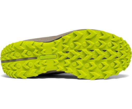Forviza.shop583c2df466 4