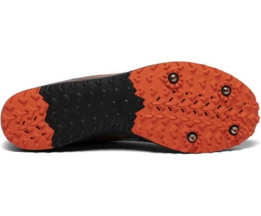 Forviza.shop84097ecafb 4